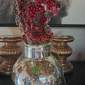 QVC Silver and Red Holiday Vase Decor